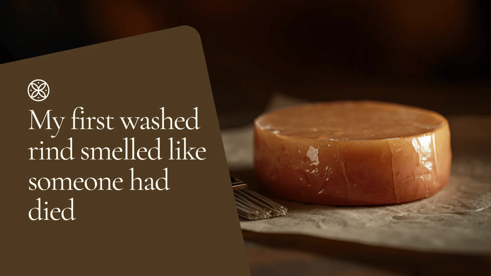 My first washed rind smelled like someone had died