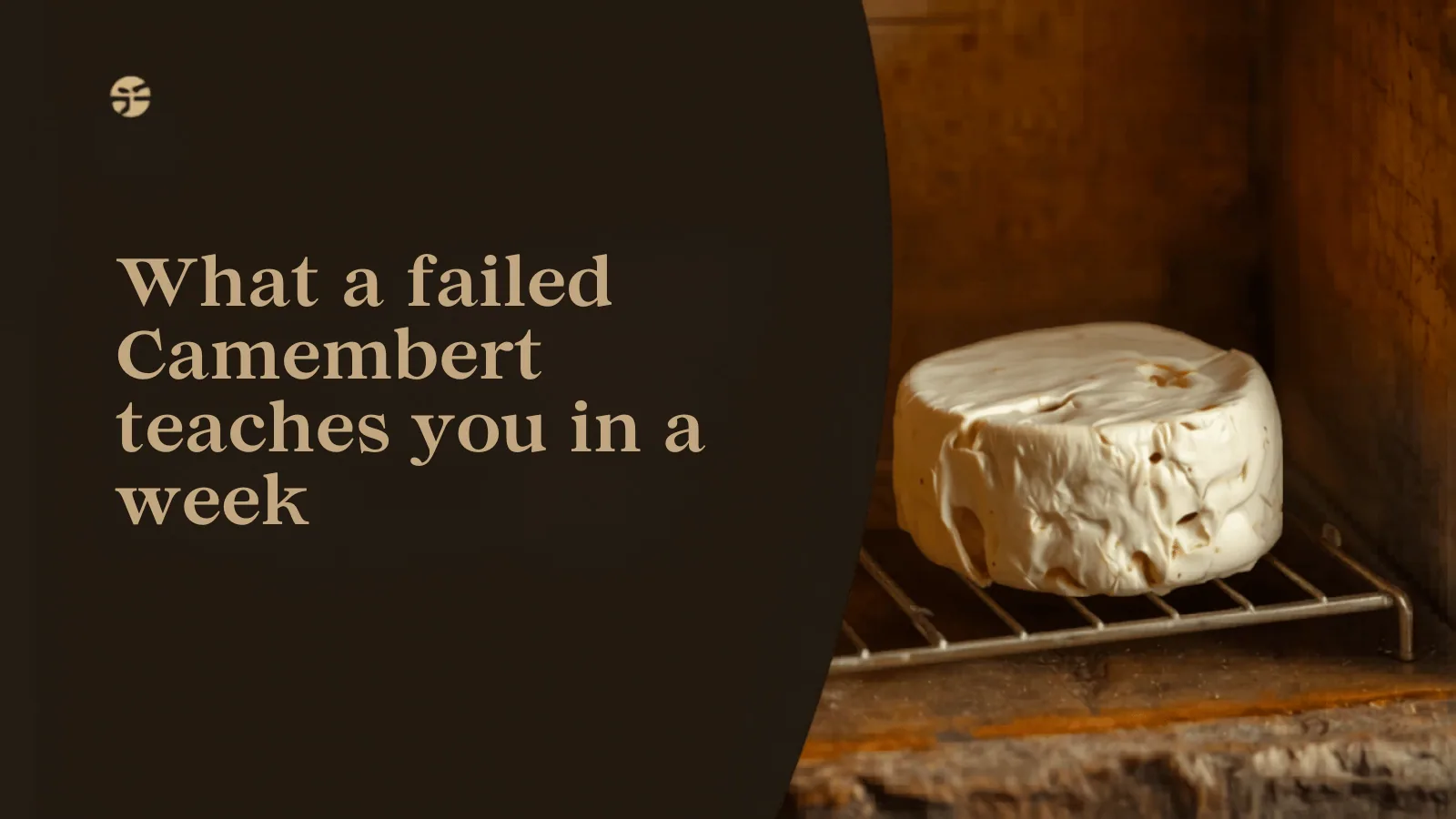 What a failed Camembert teaches you in a week